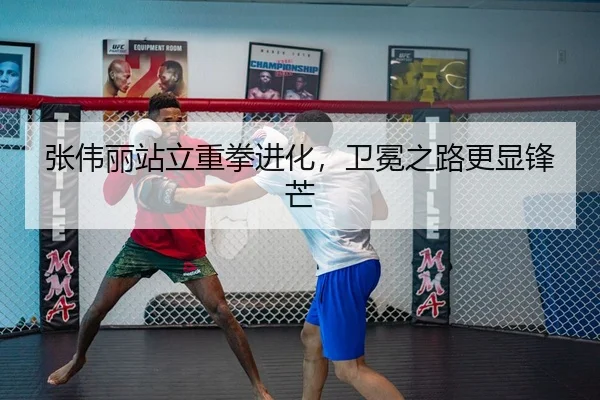 张伟丽站立重拳进化，卫冕之路更显锋芒