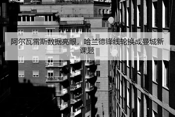 a-er-wa-lei-si-shu-ju-liang-yan-ha-lan-de-feng-xian-lun-huan-cheng-man-cheng-xin-ke-ti-2-613.jpg