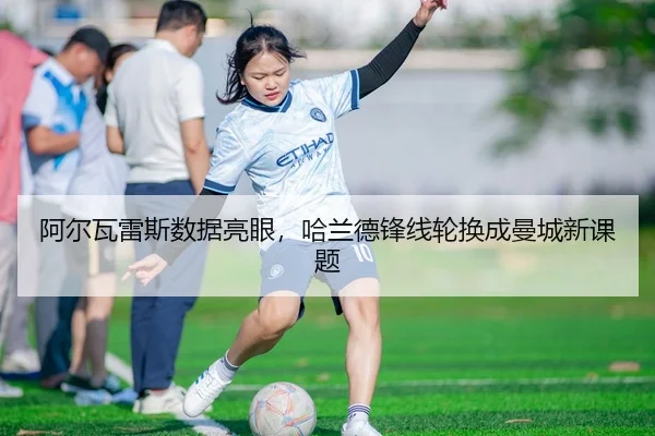 a-er-wa-lei-si-shu-ju-liang-yan-ha-lan-de-feng-xian-lun-huan-cheng-man-cheng-xin-ke-ti-3-334.jpg
