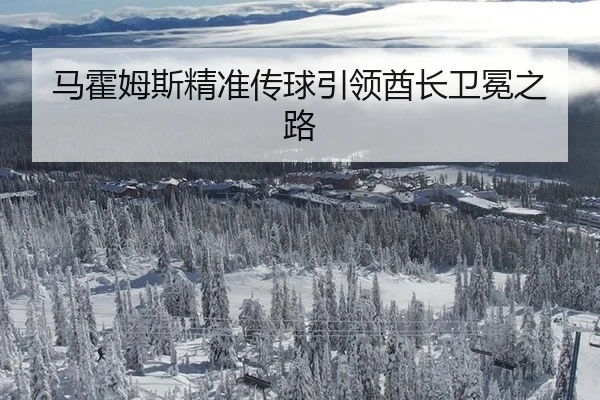 马霍姆斯精准传球引领酋长卫冕之路