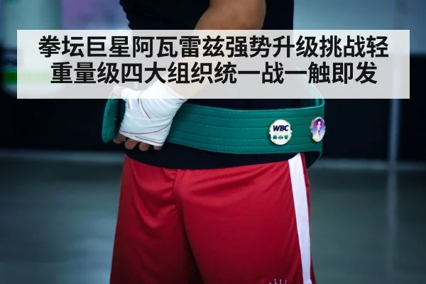 拳坛巨星阿瓦雷兹强势升级挑战轻重量级四大组织统一战一触即发
